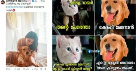ചിഞ്ചു നായര്‍ എന്ന വന്മരം വീണു, പകരമാര്? ട്രോളുകളില്‍ നിറഞ്ഞ് കോഫീമേനോന്‍