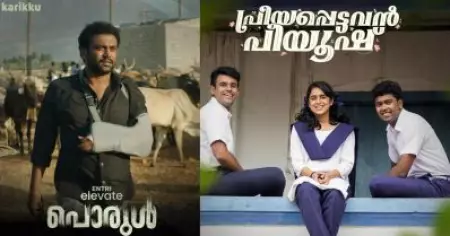 പ്രിയപ്പെട്ടവന്‍ പീയൂഷിന് കിട്ടിയ കമന്റുകള്‍; പൊരുള്‍ വരുമ്പോള്‍ അതോര്‍ത്ത് ടെന്‍ഷനായി: സംവിധായകന്‍