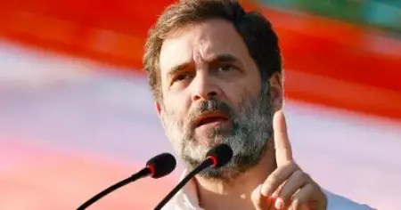 വയനാടോ, റായ്ബറേലിയോ? ധര്‍മ്മസങ്കടത്തിലാണ്: രാഹുല്‍ ഗാന്ധി