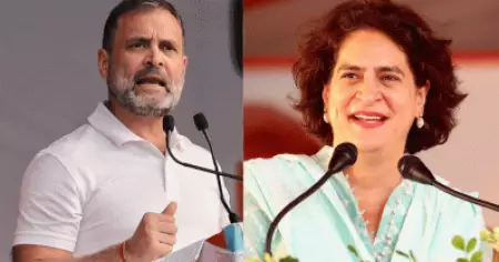 രാഹുല്‍ റായ്ബറേലി നിലനിര്‍ത്തും; പ്രിയങ്ക ഗാന്ധി വയനാട്ടിലേക്ക്