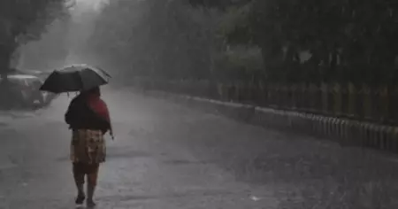 ശക്തമായ മഴ തുടരും; 12 ജില്ലകളിൽ വിദ്യാഭ്യാസ സ്ഥാപനങ്ങൾക്ക് ബുധനാഴ്ചയും അവധി
