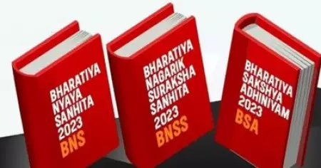 പുതിയ മൂന്ന് ക്രിമിനൽ നിയമങ്ങൾക്ക് ഹിന്ദി, സംസ്‌കൃതം പേരുകൾ നൽകിയതിനെതിരെ പൊതുതാത്പര്യഹരജി