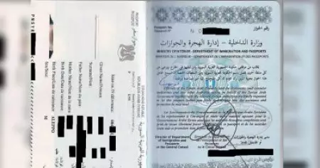 'അവരെ അവസാനിപ്പിക്കണം';30 ലക്ഷത്തിലധികം സിറിയൻ അഭയാർത്ഥികളുടെ പാസ്പോർട്ടുകൾ തുർക്കിയിലെ ടെലി​ഗ്രാം ​​ഗ്രൂപ്പിൽ ചോർന്നെന്ന് റിപ്പോർട്ട്