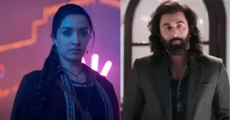 അനിമലിനെ ഇന്ത്യന്‍ ബോക്‌സ് ഓഫീസില്‍ അടിച്ചിട്ട് 'സ്ത്രീ'