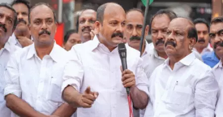 'പരനാറി, കോവര്‍കഴുത'... മുഖ്യമന്ത്രിക്കെതിരെ അധിക്ഷേപ പരാമര്‍ശവുമായി കോണ്‍ഗ്രസ് നേതാവ്