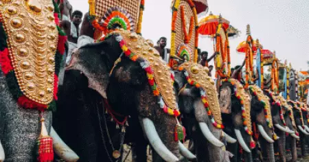 ആനയെ എഴുന്നള്ളിക്കുമ്പോള്‍ ദൂരപരിധി പൊതുവായി നിശ്ചയിക്കുന്നതില്‍ അപ്രായോഗികതയുണ്ട്; സര്‍ക്കാര്‍ ഹൈക്കോടതിയില്‍