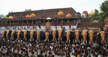 രാജവാഴ്ചയല്ല, നിയമവാഴ്ചയാണ്, എഴുന്നള്ളത്ത് മാര്‍ഗരേഖകള്‍ പാലിക്കണം; ആന എഴുന്നള്ളിപ്പില്‍
ഹൈക്കോടതി