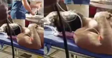 വയനാട്ടിൽ വീണ്ടും കാട്ടാന ആക്രമണം; നിർമാണ തൊഴിലാളിക്ക് ഗുരുതര പരുക്ക്