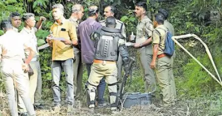 പഞ്ചാരക്കൊല്ലിയില്‍ വീണ്ടും കടുവയാക്രമണം; ആര്‍.ആര്‍.ടി അംഗത്തിന് പരിക്ക്