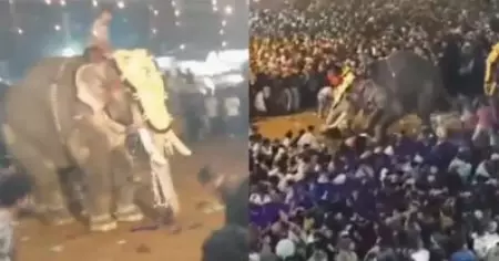 തിരൂർ പുതിയങ്ങാടി നേര്‍ച്ചക്കിടെ ആനയിടഞ്ഞ സംഭവം; പരിക്കേറ്റയാള്‍ മരിച്ചു