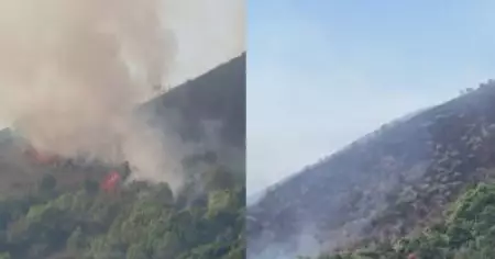 മാനന്തവാടിയിലെ തീപിടിത്തം; വനത്തിന് തീയിട്ട പ്രതി പിടിയില്‍