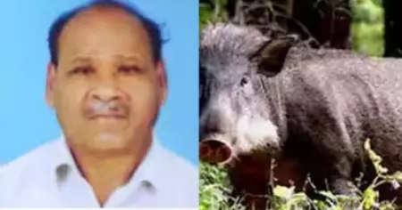 കണ്ണൂരില്‍ കാട്ടുപന്നി ആക്രമണത്തില്‍ കര്‍ഷകന്‍ മരിച്ചു