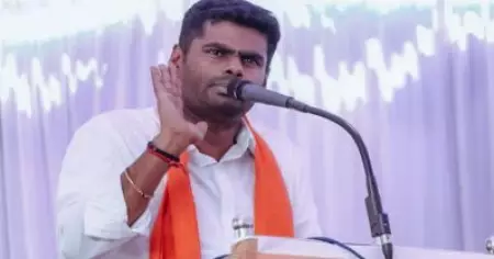 ഇനി മത്സരത്തിനില്ല; തമിഴ്‌നാട് ബി.ജെ.പി അധ്യക്ഷസ്ഥാനത്ത് നിന്നും ഒഴിയുമെന്ന് അണ്ണാമലൈ
