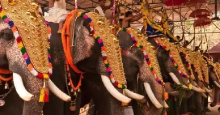 ഉത്സവത്തിന് ആനയില്ല; ആ തുക നിര്‍ധനര്‍ക്ക് വീടുവെച്ച് നല്‍കും; കൈയടി നേടി ശ്രീകുമാരമംഗലം ക്ഷേത്രകമ്മിറ്റി