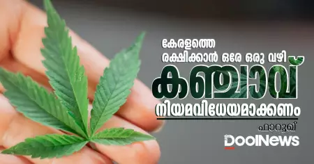 കേരളത്തെ രക്ഷിക്കാന്‍ ഒരേ ഒരു വഴി, കഞ്ചാവ് നിയമവിധേയമാക്കണം