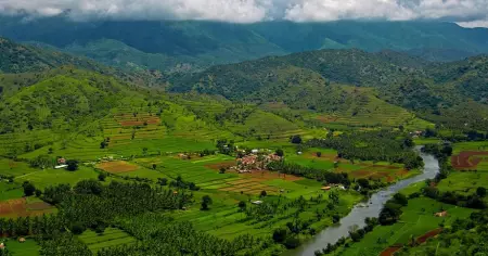 അട്ടപ്പാടിയില്‍ കോണ്‍ഗ്രസ് നേതാക്കള്‍ ആദിവാസി ഭൂമി തട്ടിയെടുത്തെന്ന് പരാതി; കുടില്‍കെട്ടി സമരം ആരംഭിക്കുമെന്ന് സി.പി.ഐ.എം