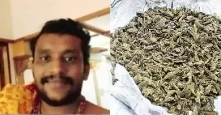 ബി.ജെ.പി നേതാവിന്റെ പൂജാ മുറിയില്‍ നിന്ന് 1.2 കിലോ ഗ്രാം കഞ്ചാവും അഞ്ച് ഗ്രാം എം.ഡി.എം.എയും പിടിച്ചെടുത്ത് പൊലീസ്