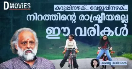 കറുപ്പിനഴക്... വെളുപ്പിനഴക്; നിറത്തിൻ്റെ രാഷ്ട്രീയമല്ല ഈ വരികൾ