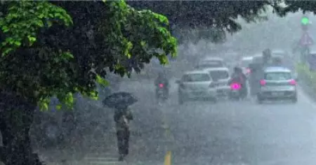 സംസ്ഥാനത്ത് ഇന്ന് വ്യാപക മഴയ്ക്ക് സാധ്യത; രണ്ട് ജില്ലകളില്‍ ഓറഞ്ച് അലേര്‍ട്ട്
