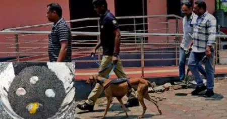 പാലക്കാട് ജില്ലയില്‍ അടുത്തിടെ ഉണ്ടായ സ്‌ഫോടനങ്ങള്‍ അന്വേഷിക്കാന്‍ പ്രത്യേക സംഘത്തെ നിയോഗിക്കും
