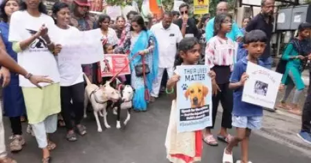 തെരുവുനായ പ്രശ്നം: സുപ്രീം കോടതി ഉത്തരവില്‍ തമിഴ് നാട്ടില്‍ പ്രതിഷേധം