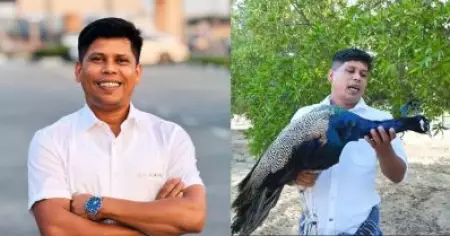 മയിലിനെ കറിവെച്ചാല്‍ ഇങ്ങോട്ട് വരണ്ട എന്നുവരെ ചിലര്‍ അന്ന് പറഞ്ഞിരുന്നു, അങ്ങനെയൊരു ചിന്ത എനിക്കുണ്ടായിരുന്നില്ല: ഫിറോസ് ചുട്ടിപ്പാറ