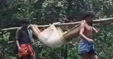 ഇടമലക്കുടിയില്‍ രോഗിയെ രണ്ടാമതും ആശുപത്രിയിൽ എത്തിച്ചത് ചുമന്നുകൊണ്ട്