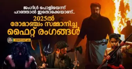 ജംഗിള്‍ പൊളിയെന്ന് പറഞ്ഞാല്‍ ഇതൊക്കെയാണ്, 2025ല്‍ രോമാഞ്ചം സമ്മാനിച്ച ഫൈറ്റ് രംഗങ്ങള്‍