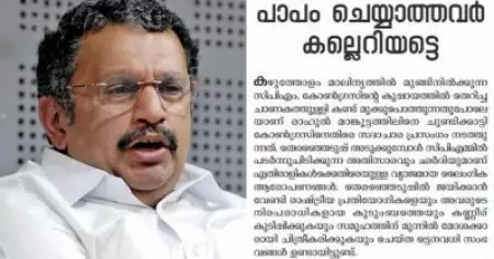 'പാപം ചെയ്യാത്തവര്‍ കല്ലെറിയട്ടെ' പ്രയോഗം സി.പി.ഐ.എമ്മിനെയും എല്‍.ഡി.എഫിനെയും ഉദ്ദേശിച്ചുള്ളത്: കെ. മുരളീധരന്‍