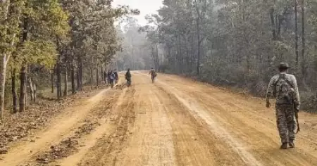 കീഴടങ്ങിയ മാവോയിസ്റ്റുകള്‍ക്കെതിരായ കേസ് പിന്‍വലിക്കാന്‍ പുനപരിശോധന; ഛത്തീസ്ഗഡില്‍ മന്ത്രിസഭാ ഉപസമിതി