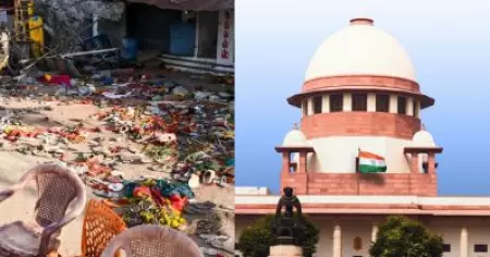 കരൂര്‍ ദുരന്തം: മദ്രാസ് ഹൈക്കോടതി നടപടികളില്‍ 'എന്തോ തെറ്റ്' സംഭവിച്ചിട്ടുണ്ട്: സുപ്രീം കോടതി