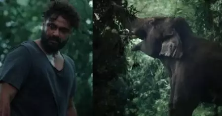 വി. എഫ്.എക്‌സ് ഇല്ലാത്ത ഒറിജിനല്‍ ആന; കട്ട ആക്ഷന്‍ പടം, കാട്ടാളന്റെ ടീസര്‍ പുറത്ത്