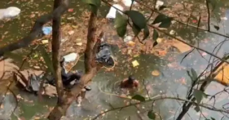 മലപ്പുറത്തെ ലോറിയപകടം; മണിക്കൂറുകളുടെ ശ്രമം പരാജയപ്പെട്ടു, മുസ്തഫ മരിച്ചു