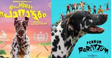 അതായിരുന്നു ആശങ്ക; കൊമേഴ്ഷ്യലായിട്ടുള്ള മീറ്ററുകളൊന്നും പെണ്ണും പൊറാട്ടില്‍ പാലിച്ചിട്ടില്ല: രാജേഷ് മാധവന്‍