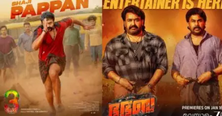 നോ ലോജിക്ക് ഓണ്‍ലി മാഡ്‌നെസ് കാണണോ? അങ്ങോട്ട് നോക്കെടാ; വൈറലായി വീഡിയോ