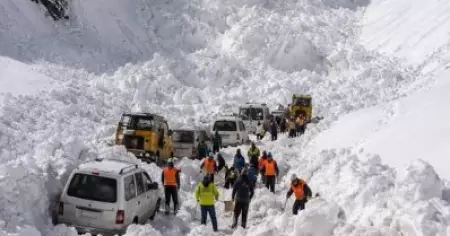 ലഡാക്ക് സോജി ലാ പാസില്‍ ഹിമപാതം; മരണം ഏഴായി; നിരവധി വാഹനങ്ങള്‍ മഞ്ഞിനടിയില്‍; റിപ്പോര്‍ട്ട്