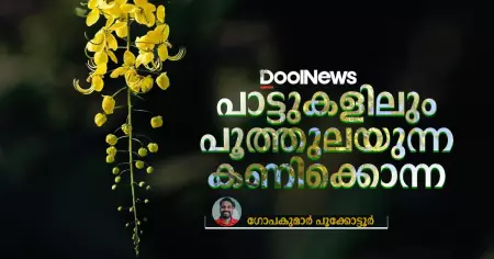 പാട്ടുകളിലും പൂത്തുലയുന്ന കണിക്കൊന്ന
