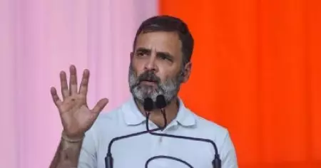 നിതീഷ് കുമാറിന്റെ രാജി ജനാധിപത്യത്തോടുള്ള വെല്ലുവിളി; തമിഴ്നാട് തെരഞ്ഞെടുപ്പ് റാലിയിൽ ആഞ്ഞടിച്ച് രാഹുൽ ഗാന്ധി
