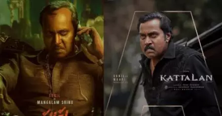 പുഷ്പക്ക് ശേഷം ചെയ്യുന്ന വലിയ ഒരു ക്യാരക്ടർ ആണ് മാരി:സുനിൽ