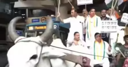 ജനങ്ങളെ കാളവണ്ടിയിലെത്തിച്ചു; ദല്‍ഹിയില്‍ കാളവണ്ടി പ്രതിഷേധവുമായി കോണ്‍ഗ്രസ്