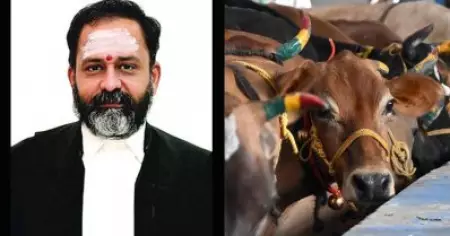 'ഞാനൊരു പ്രത്യേക പ്രത്യയശാസ്ത്രത്തോട് കൂറ് പുലര്‍ത്തുന്നവന്‍'; തമിഴ്‌നാട്ടില്‍ ഗോവധ നിരോധനത്തിന് ഉത്തരവിട്ട ജഡ്ജിയുടെ ആര്‍.എസ്.എസ് ബന്ധം ചര്‍ച്ചയാകുന്നു