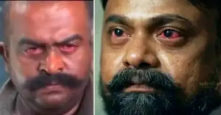 വാസു അണ്ണനോട് തോന്നിയ അതേ പേടി സഹദേവനോടും തോന്നണമായിരുന്നു, അതിനാണ് കണ്ണ് ചുവപ്പിച്ചത്: കലാഭവന്‍ ഷാജോണ്‍