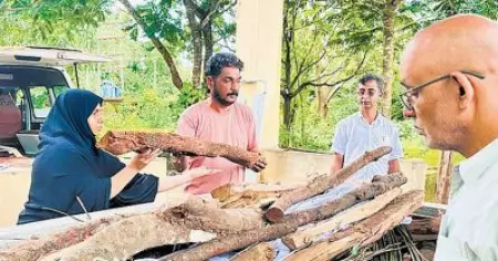 രഘു ശ്മശാനം കമ്മിറ്റി അംഗം:  നാരായണന്റെ സംസ്‌കാരം നടത്തിയത് സേവാ ഭാരതിയെന്ന  പ്രചാരണം തള്ളി ഇര്‍ഫാന