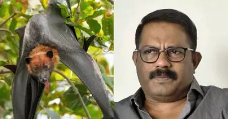 കുറ്റ്യാടിയിലെ വവ്വാലുകള്‍ക്ക് മാത്രം എങ്ങനെയാണ് നിപ്പ വരുന്നത്‌? മരുമകനെ അയച്ചത് ഭീതി പടര്‍ത്താന്‍ മാത്രം; ഷാജിയുടെ പഴയ പ്രസംഗവും വൈറല്‍