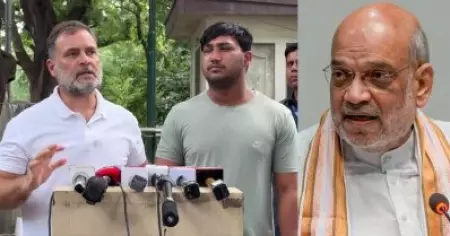 ആരാണ് പെല്ലറ്റ് ഗണ്ണിന് അനുമതി നല്‍കിയത്; ആരാണ് സമരക്കാരെ അടിച്ചമര്‍ത്താന്‍ സിവില്‍ വേഷത്തില്‍ വന്നവര്‍ : അമിത് ഷായോട് രാഹുല്‍