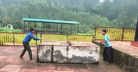ശ്മശാനത്ത് ടേബിൾ ടെന്നിസ്; ഉത്തരാഖണ്ഡ് ബി.ജെ.പി സർക്കാരിനെതിരെ കോൺഗ്രസ്