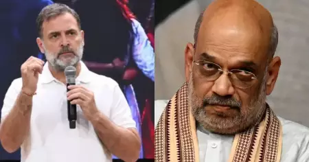 അമിത് ഷായ്‌ക്കെതിരായ പരാമർശം: 2018-ലെ മനനഷ്ടകേസിൽ രാഹുൽ ഗാന്ധി കുറ്റവിമുക്തൻ
