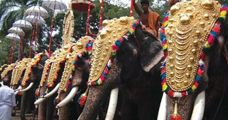 ?php echo $post['title']; ?>