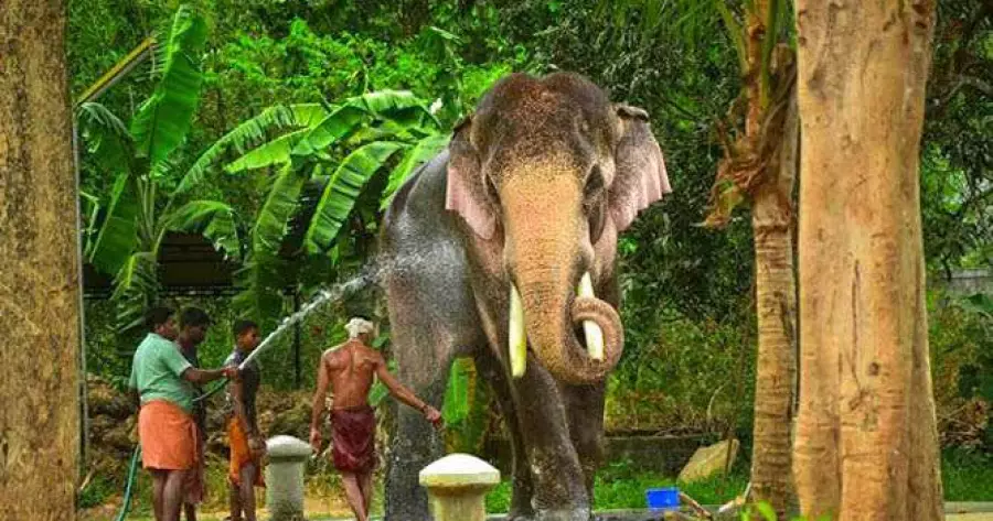 ?php echo $post['title']; ?>