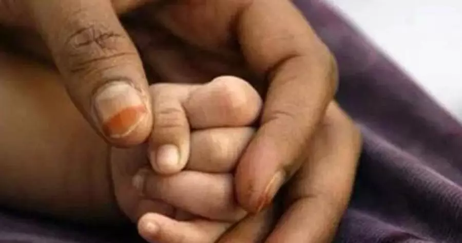 ?php echo $post['title']; ?>